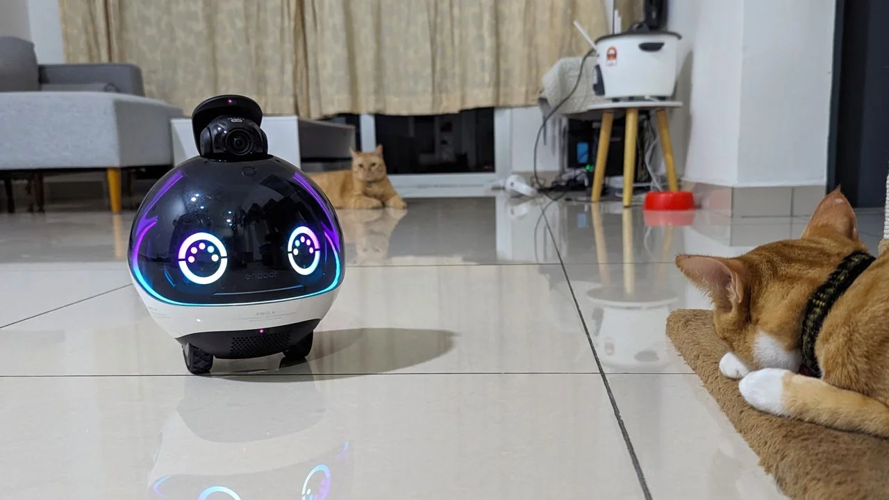 The Enabot EBO X continues to be my favorite Alexa-powered pet companion robot on wheels